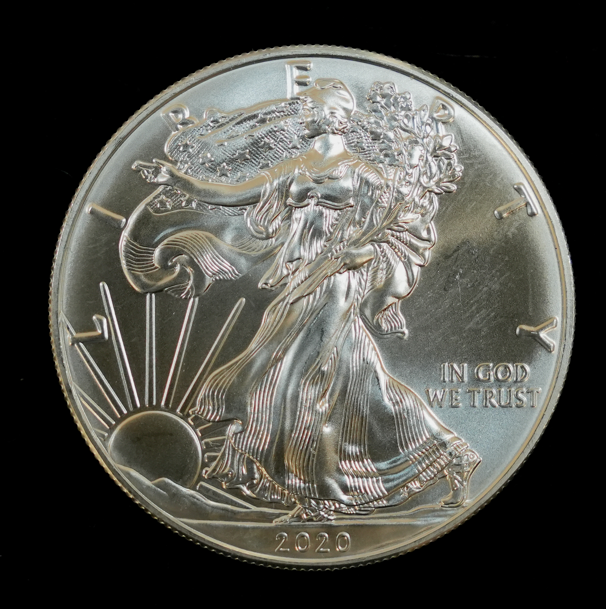 2020 Silver Eagle